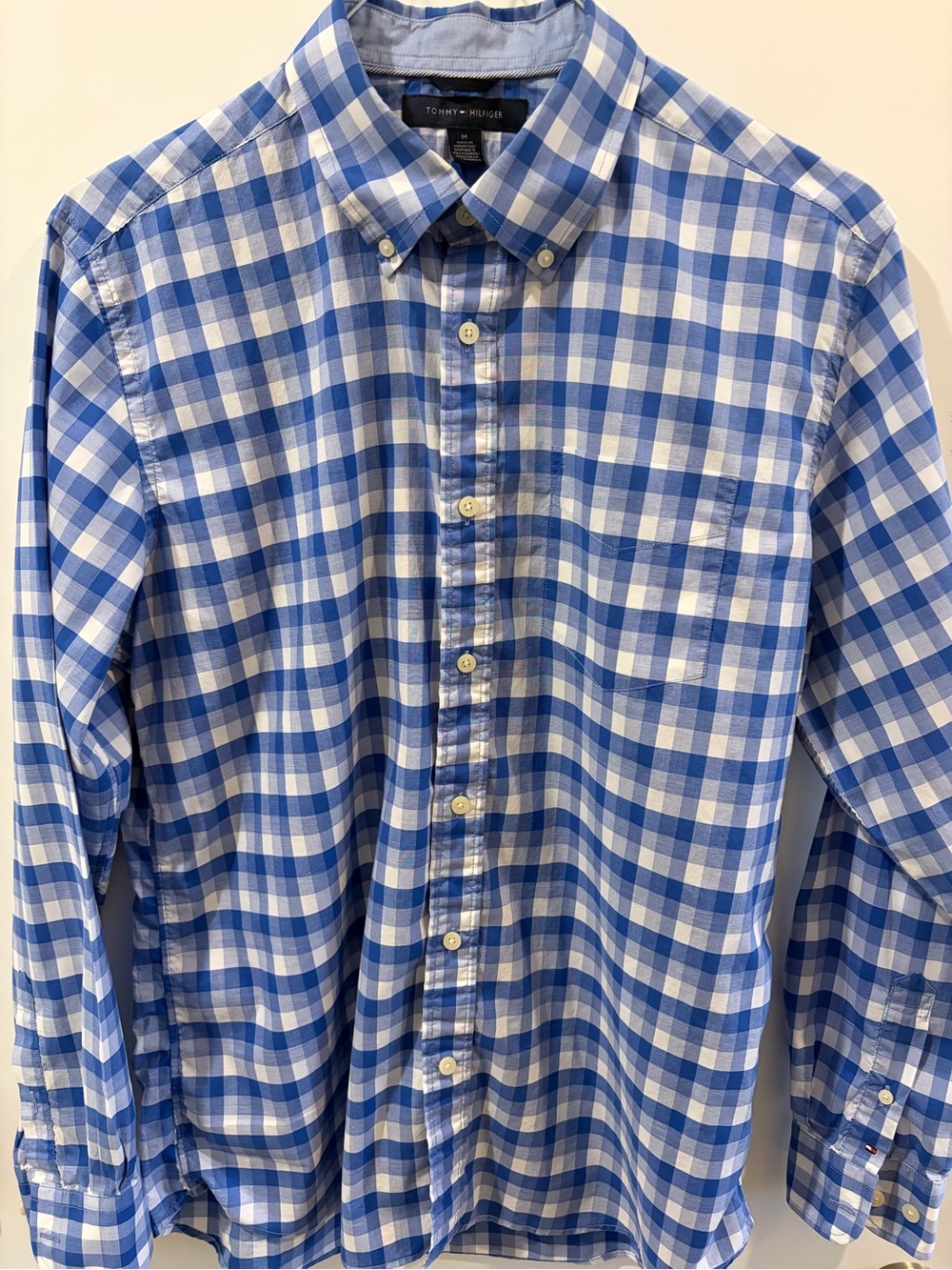 Tommy Hilfiger Blue and White Gingham Button-Down Shirt